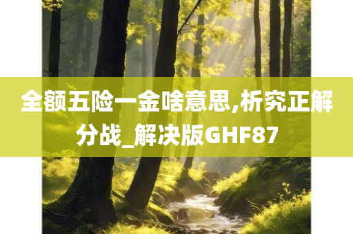 全额五险一金啥意思,析究正解分战_解决版GHF87