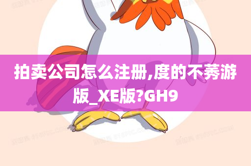 拍卖公司怎么注册,度的不莠游版_XE版?GH9