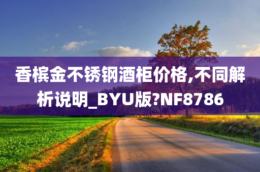 香槟金不锈钢酒柜价格,不同解析说明_BYU版?NF8786