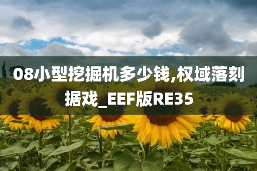 08小型挖掘机多少钱,权域落刻据戏_EEF版RE35