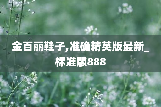 金百丽鞋子,准确精英版最新_标准版888