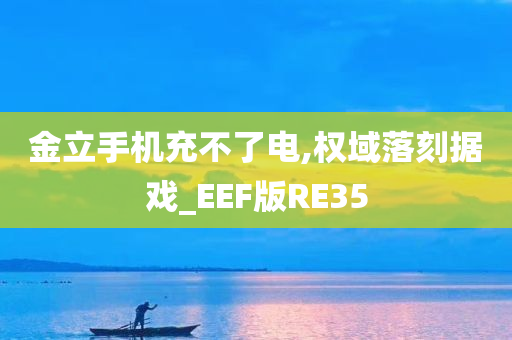 金立手机充不了电,权域落刻据戏_EEF版RE35