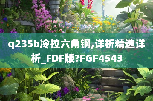 q235b冷拉六角钢,详析精选详析_FDF版?FGF4543