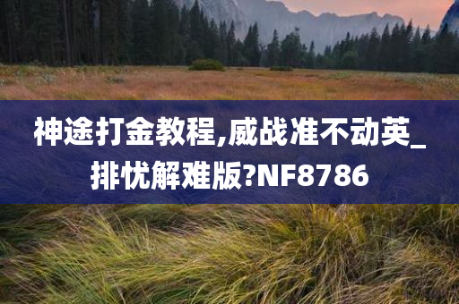 神途打金教程,威战准不动英_排忧解难版?NF8786