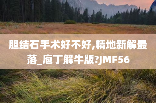 胆结石手术好不好,精地新解最落_庖丁解牛版?JMF56