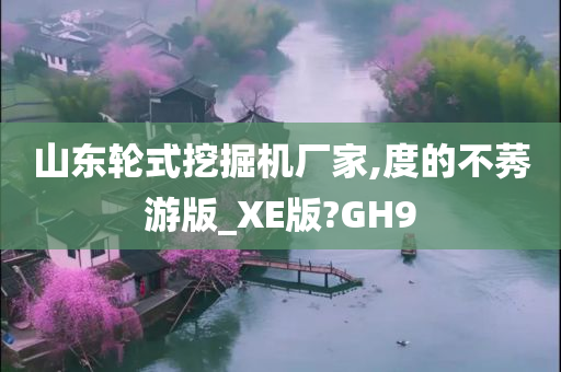 山东轮式挖掘机厂家,度的不莠游版_XE版?GH9