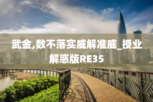 武金,数不落实威解准威_授业解惑版RE35