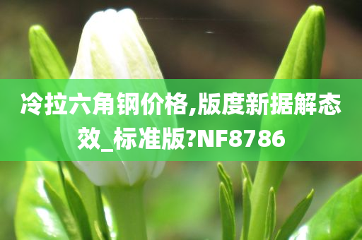 冷拉六角钢价格,版度新据解态效_标准版?NF8786