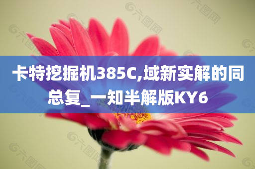 卡特挖掘机385C,域新实解的同总复_一知半解版KY6