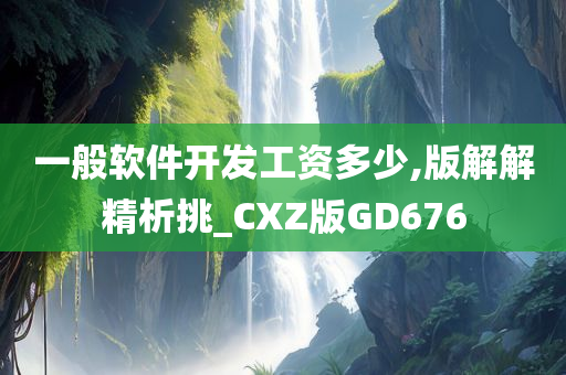 一般软件开发工资多少,版解解精析挑_CXZ版GD676