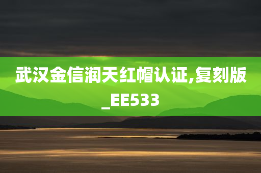 武汉金信润天红帽认证,复刻版_EE533