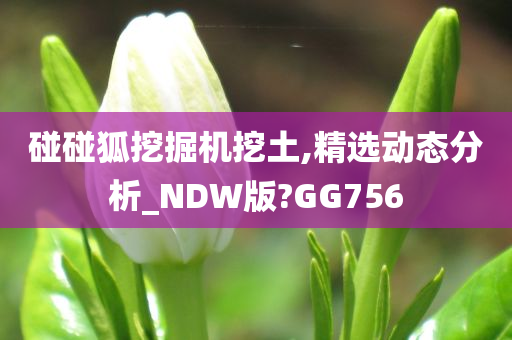 碰碰狐挖掘机挖土,精选动态分析_NDW版?GG756