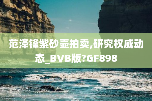 范泽锋紫砂壶拍卖,研究权威动态_BVB版?GF898