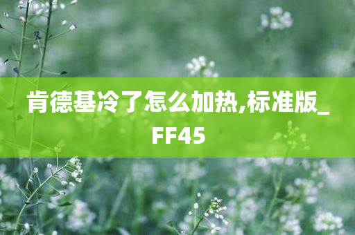 肯德基冷了怎么加热,标准版_FF45