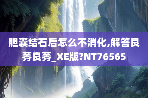 胆囊结石后怎么不消化,解答良莠良莠_XE版?NT76565