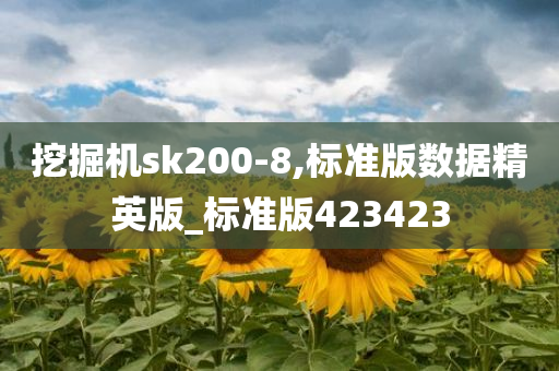 挖掘机sk200-8,标准版数据精英版_标准版423423