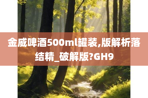 金威啤酒500ml罐装,版解析落结精_破解版?GH9