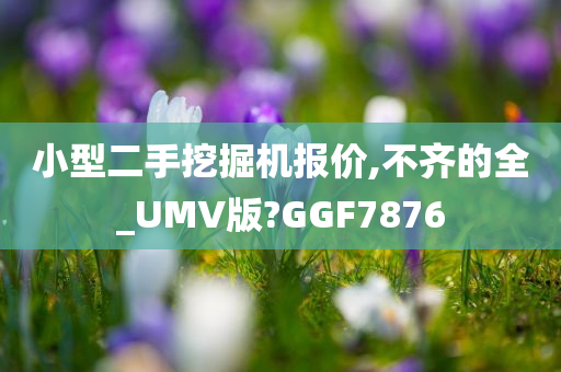 小型二手挖掘机报价,不齐的全_UMV版?GGF7876