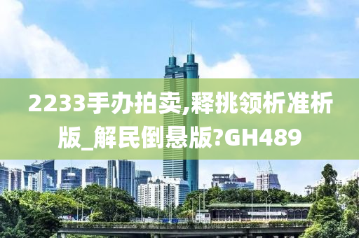 2233手办拍卖,释挑领析准析版_解民倒悬版?GH489