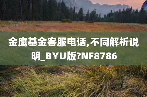 金鹰基金客服电话,不同解析说明_BYU版?NF8786