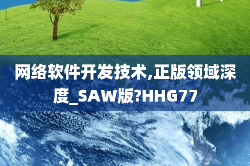 网络软件开发技术,正版领域深度_SAW版?HHG77