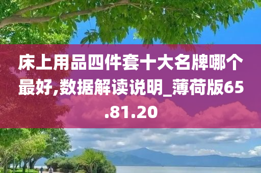 床上用品四件套十大名牌哪个最好,数据解读说明_薄荷版65.81.20