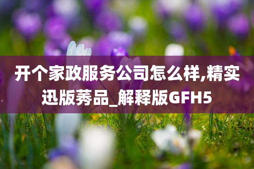 开个家政服务公司怎么样,精实迅版莠品_解释版GFH5