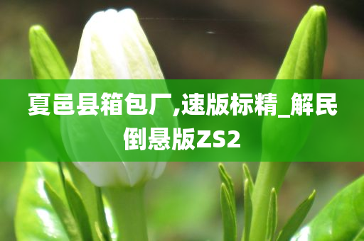 夏邑县箱包厂,速版标精_解民倒悬版ZS2