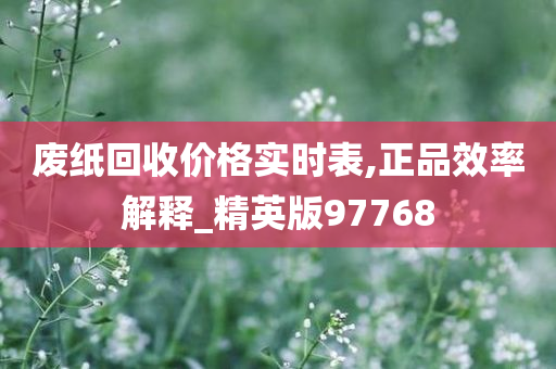 废纸回收价格实时表,正品效率解释_精英版97768