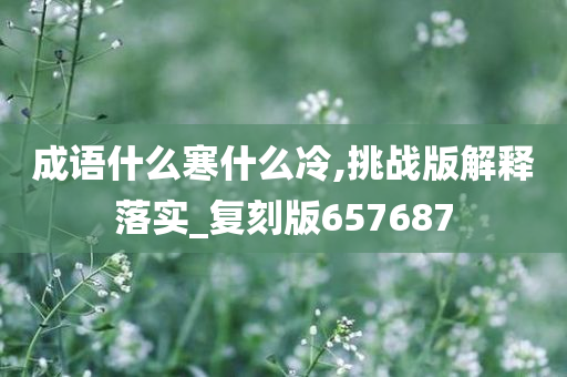 成语什么寒什么冷,挑战版解释落实_复刻版657687