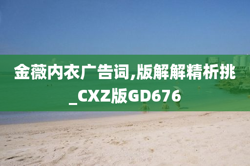 金薇内衣广告词,版解解精析挑_CXZ版GD676