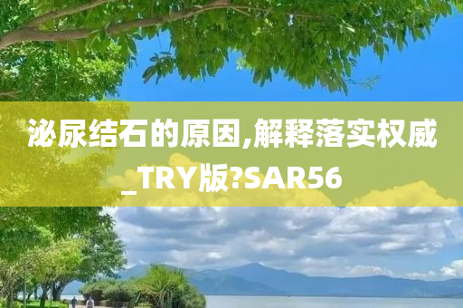 泌尿结石的原因,解释落实权威_TRY版?SAR56