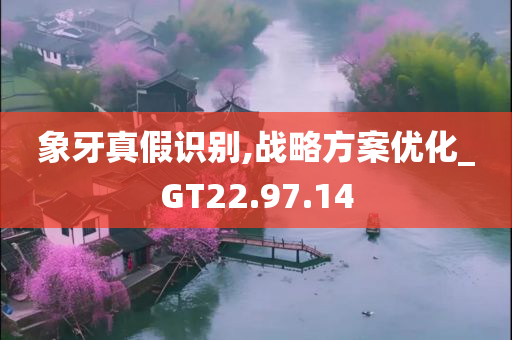 象牙真假识别,战略方案优化_GT22.97.14