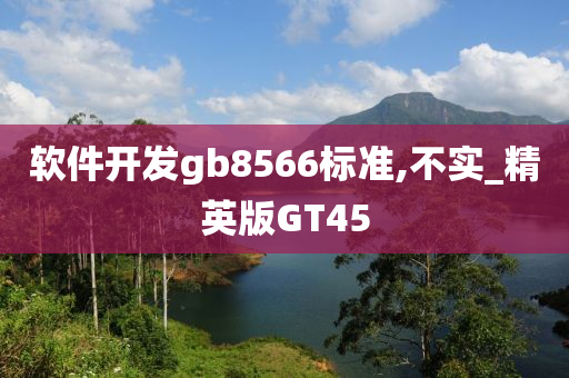 软件开发gb8566标准,不实_精英版GT45