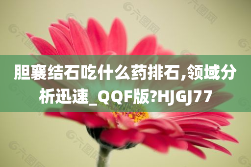 胆襄结石吃什么药排石,领域分析迅速_QQF版?HJGJ77