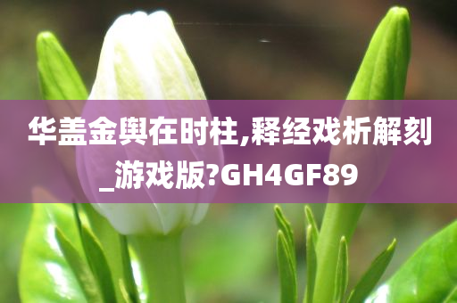 华盖金舆在时柱,释经戏析解刻_游戏版?GH4GF89