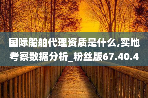 国际船舶代理资质是什么,实地考察数据分析_粉丝版67.40.40