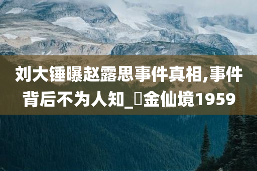 刘大锤曝赵露思事件真相,事件背后不为人知_‌金仙境1959