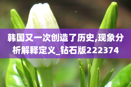 韩国又一次创造了历史,现象分析解释定义_钻石版222374