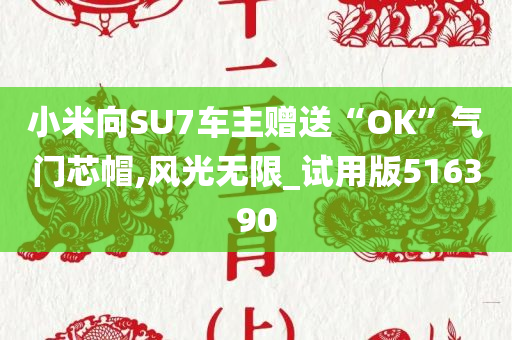 小米向SU7车主赠送“OK”气门芯帽,风光无限_试用版516390