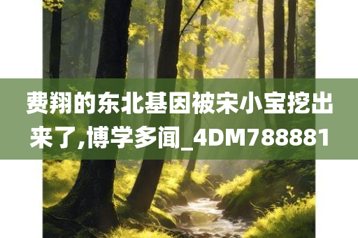 费翔的东北基因被宋小宝挖出来了,博学多闻_4DM788881