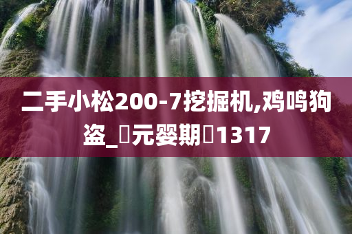 二手小松200-7挖掘机,鸡鸣狗盗_‌元婴期‌1317