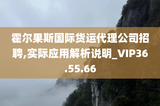 霍尔果斯国际货运代理公司招聘,实际应用解析说明_VIP36.55.66