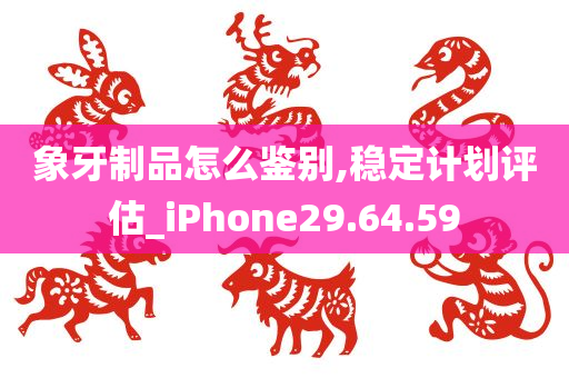 象牙制品怎么鉴别,稳定计划评估_iPhone29.64.59