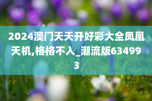 2024澳门天天开好彩大全凤凰天机,格格不入_潮流版634993