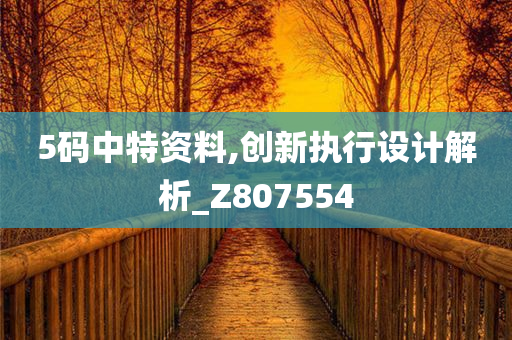 5码中特资料,创新执行设计解析_Z807554