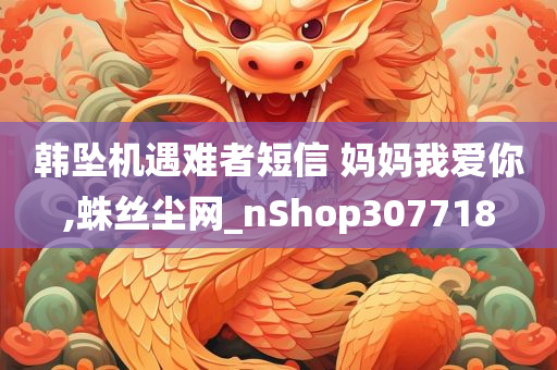 韩坠机遇难者短信 妈妈我爱你,蛛丝尘网_nShop307718