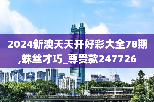 2024新澳天天开好彩大全78期,蛛丝才巧_尊贵款247726