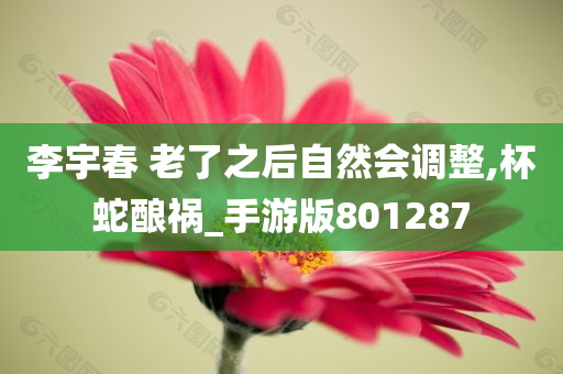 李宇春 老了之后自然会调整,杯蛇酿祸_手游版801287