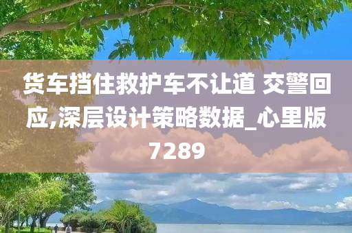 货车挡住救护车不让道 交警回应,深层设计策略数据_心里版7289